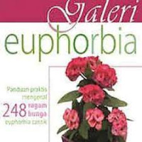 Image of GALERI EUPHORBIA