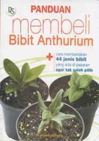 Image of PANDUAN MEMBELI BIBIT ANTHURIUM